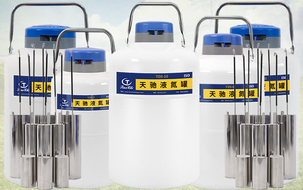 10升液氮罐能裝多少支凍精？